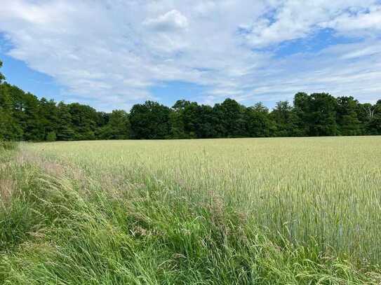 DEUTSCHMANN IMMOBILIEN ***** ivd - "Großes Paket" mit Wald-, Forst- und Grünflächen im Barnim!