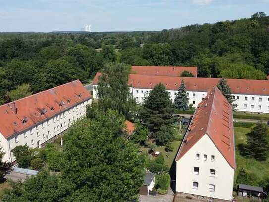 Breiter Teich und viel Grün - wir fühlen uns wohl