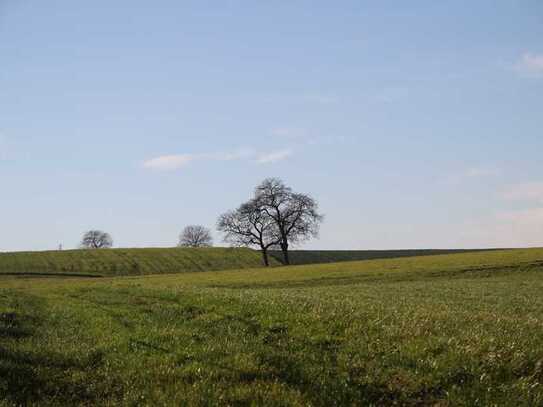 Wohnen in der Natur des Kraichgauer Hügellands mit Glasfaseranschluss