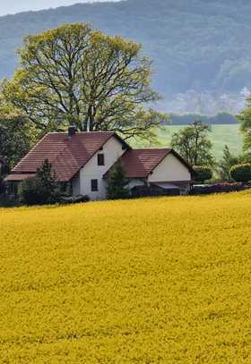 idyllisch gelegenes barrierefreies Einfamilienhaus mit Keller und Garage in Gleicherwiesen