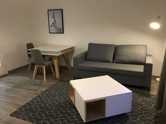 Möbliertes 1 Zimmer-Appartement im EG! Für Studenten bestens geeignet!