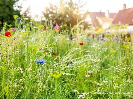 Schönes und ruhiges Grundstück mit Altbestand in Lappersdorf - Nähe zur Welterbe-Stadt Regensburg!