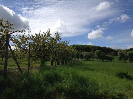 Schönes 698 m2 großes Südgrundstück in Wachtberg-Niederbachem zu verkaufen. Keine Makler!