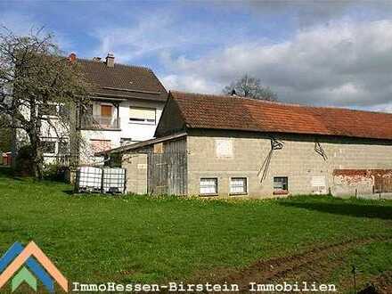 2-Einheitenhaus mit fast 4.000 m² Wiesenland am Haus.