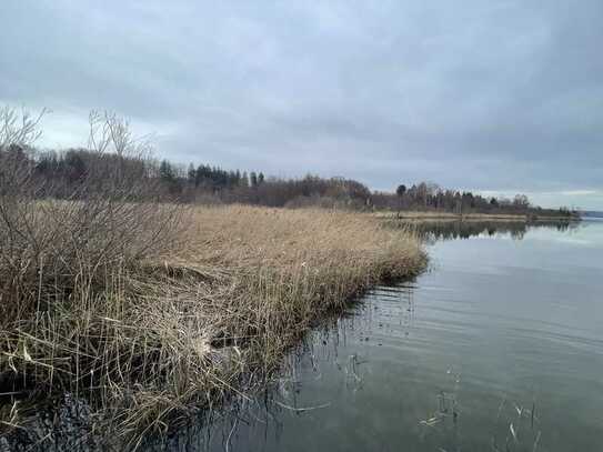 Rarität für Naturliebhaber! Grundstück mit ca. 14.500 m² mit direktem Zugang in den Pilsensee