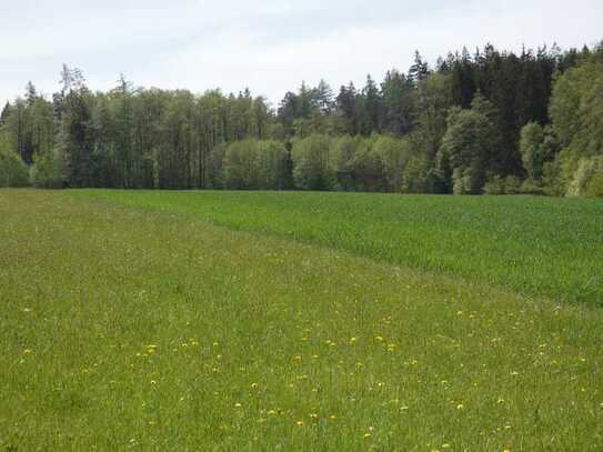 Landwirtschaftsfläche Nähe Monheim