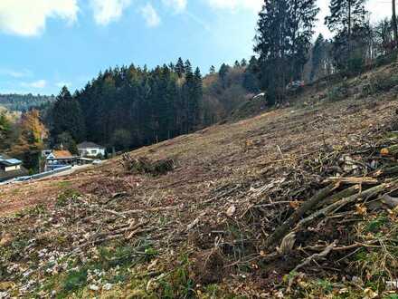 Wohnen im wäldlichen Idyll: Hang-Grundstück in Altenbach!