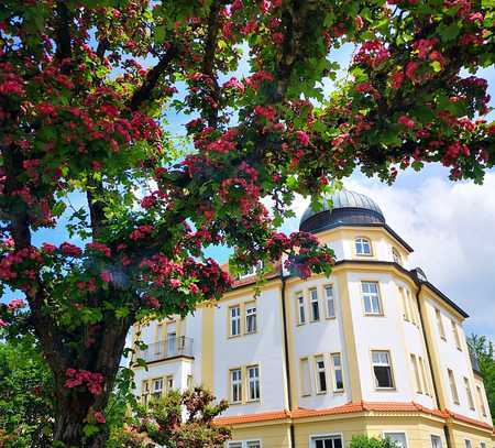 Restrukturiertes großes Nebengebäude im Garten einer großen Villa