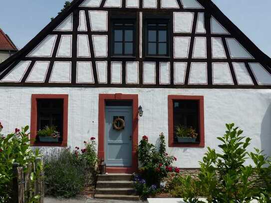 Ober-Ingelheim Fachwerkhaus mit Garten, frisch renoviert, sucht älteres Paar
