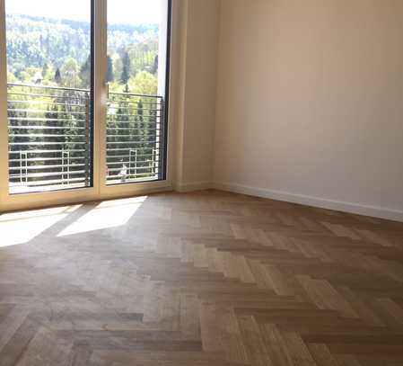 Idyllische 3-Zimmer-Penthouse-Wohnung mit gehobener Innenausstattung und Dachterrasse in Heidelberg