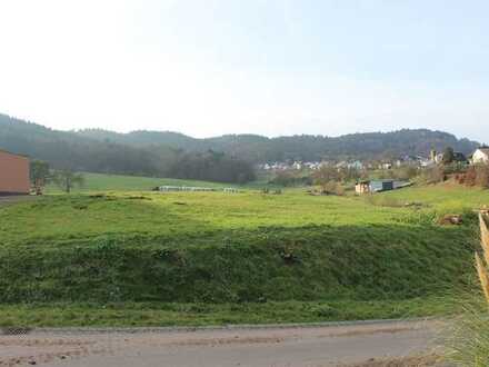 Tolles Voll erschlossenes Baugrundstück 13 km von Echternach in Schankweiler