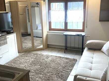 Erstbezug nach Sanierung mit Einbauküche: voll-möbilierte 1-Zimmer-Wohnung in Jungnau