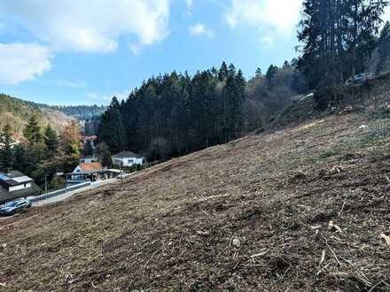 Hang-Grundstück in Altenbach mit Bauerlaubnis