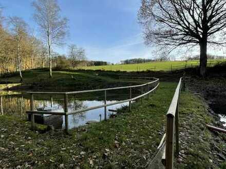 Freizeitgrundstück mit Teichanlage inkl. Wasserrechten