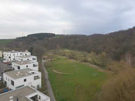 "Über den Dächern von Idstein"schickes Penthouse, 4 ZKBB Dachterrasse und EBK