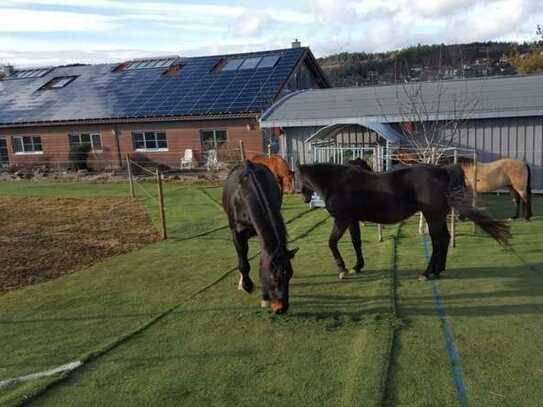 Wohnen beim eigenen Pferd - helle 2-Zimmer Wohnung an Pferdebesitzer (in) in der Natur zu vermieten