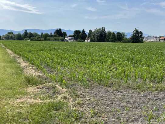 Landwirtschaftliche Fläche in bester Lage