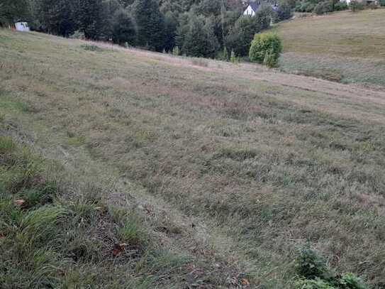 Grundstück in Erlbach-Kirchberg (Lugau)