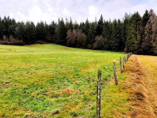 **Traumgrundstück in Ormont**