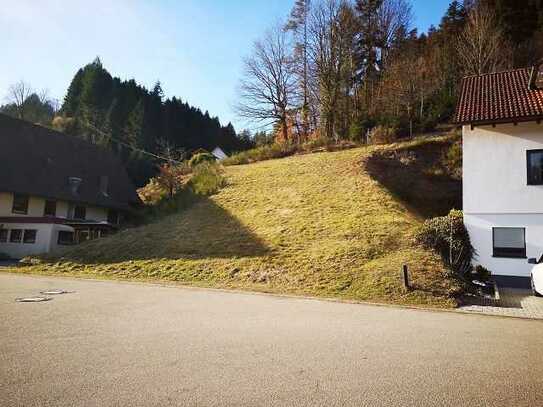 BAUPLATZ in besonderer Lage + SÜDAUSRiCHTUNG +