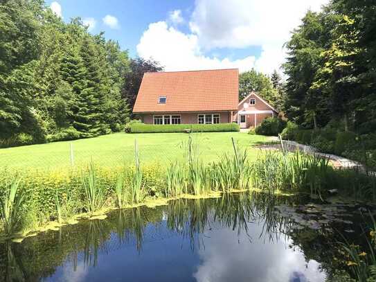 Nähe Norddeich/Nordseeküste