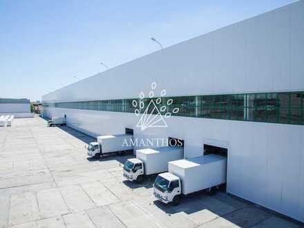 Logistikhalle ab Juli 2023 zu vermieten