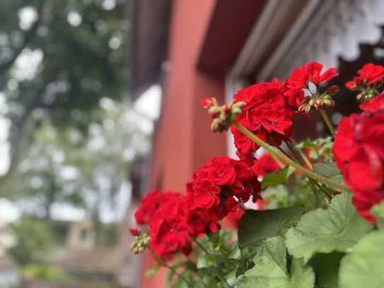 Gepflegtes - voll vermietetes MEHRFAMILIENHAUS