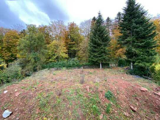 Traumhaftes Grundstück in Schöllbronn mit Talblick direkt am Wald