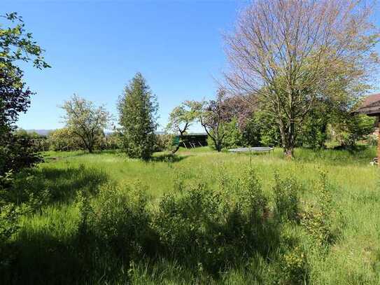 Naturnahes Freizeitgrundstück mit altem Baumbestand in Dingolfing/Salitersheim