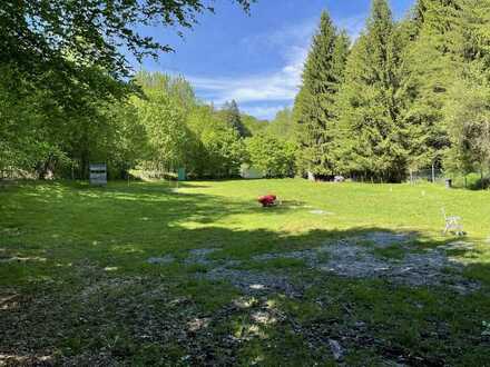 Schöner Hundeplatz / Hundeschule zum Verkauf