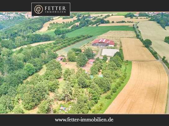 Reitanlage mit Panoramablick in Battenberg (Pfalz) – Einmalige Alleinlage gepaart mit pferdegerechte