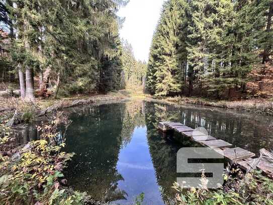 Waldgrundstück mit Teichanlage