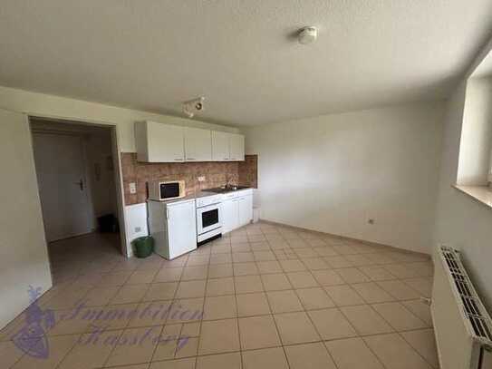 Appartement im Untergeschoss in der Nähe der Hochschule von Lemgo