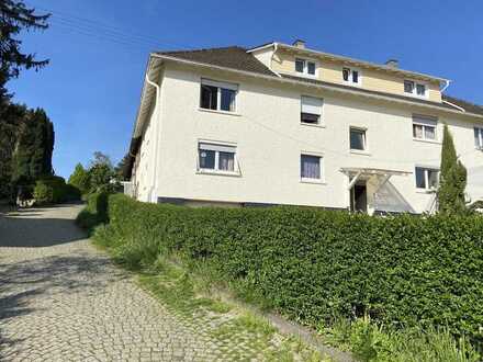 Kernsanierte Wohnung mit Charme und Charakter
