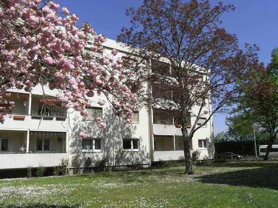 2-Zimmer-Wohnung in Mannheim-Vogelstang