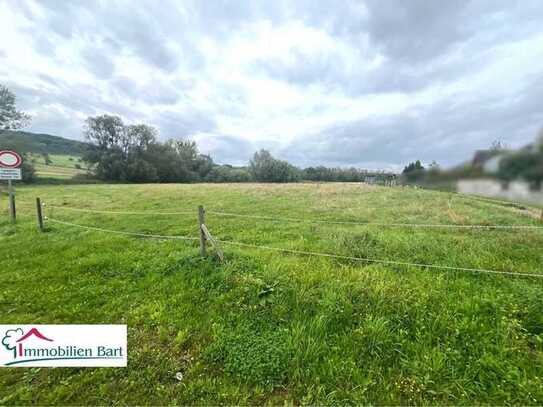 GRENZE LUXEMBURG: EBENES BAUGRUNDSTÜCK MIT WIESE (GESAMT 40 AR)