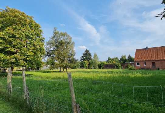 Großes Baugrundstück in Wiedensahl Schützenstraße