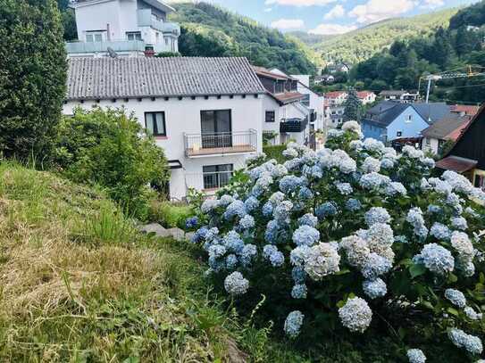 Gepflegte Wohnung mit drei Zimmern sowie Balkon und Einbauküche in Heidelberg