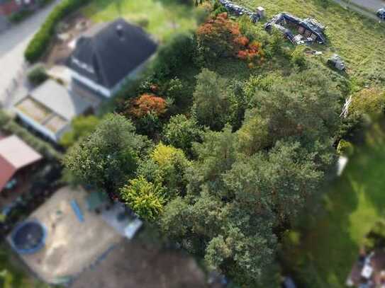 Sofort bebaubares Grundstück in Bergen (Dumme)