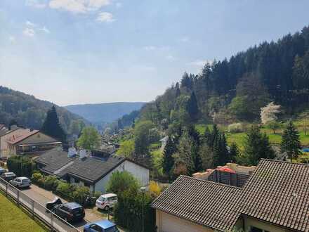 Heidelberg & Nature, Balcony, Elevator, fully furnished, warm rent 1.370€