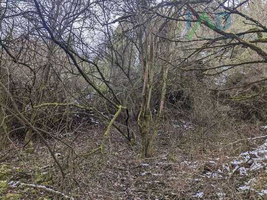Schönes Hanggrundstück in Sindolsheim