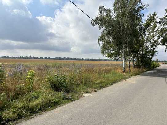 Provisionsfrei und ohne Bauträger, direkte Feldrandlage, Krummensee (Werneuchen)