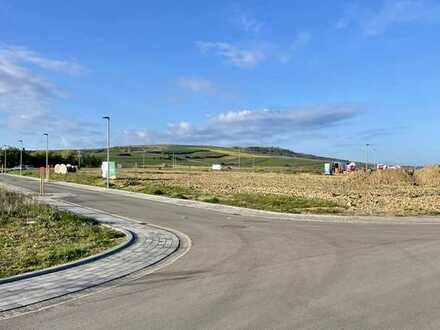 Feldrandlage im Baugebiet "Im Steinert" - 548 m² Baugrundstück zum Kauf in Gau-Algesheim