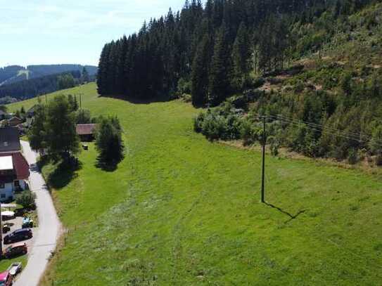 Grundstück mit viel Potential - im herrlichen Naturpark Südschwarzwald!