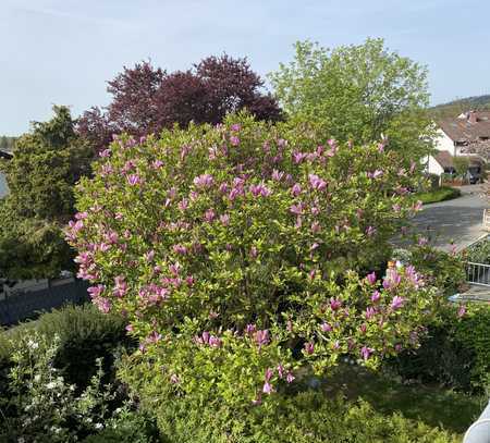 Sonniges natur -und stadtnahes RMH - Königstein 1