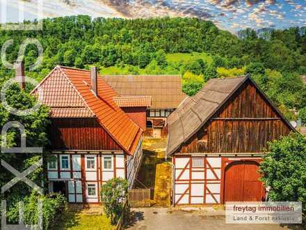 1,3 Hektar Landglück: idyllischer Pferdehof im Weserbergland