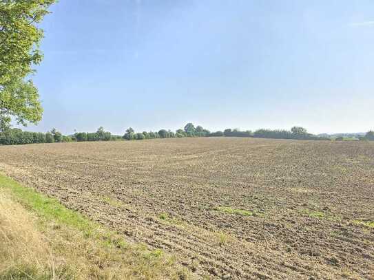 3,13 Hektar sehr gutes Ackerland mit kleinem Wald bei Aukrug