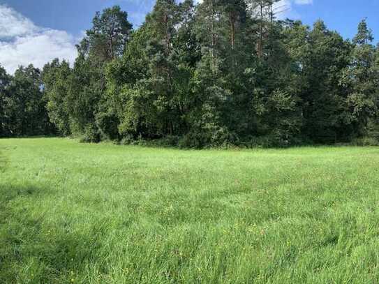 Leben im Einklang mit der Natur: Baugrundstück im idyllischen Steigerwald