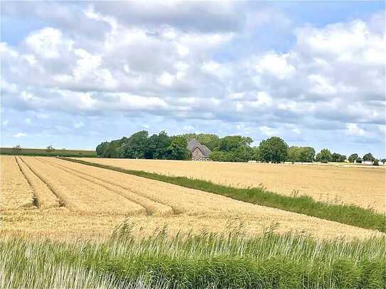 Rarität auf Eiderstedt Haubarg | Rohbau | + Altenteil