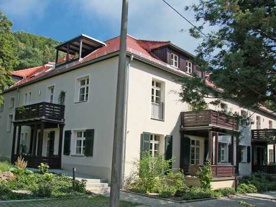 Wohnen in einer grünen Oase am Wachwitzer Weinberg, helle 2-Zimmer-Wohnung mit Balkon und EBK